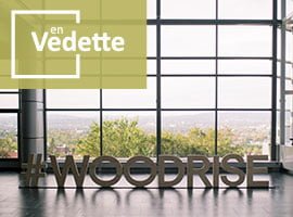10.-Woodrise-fr