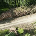 Essais de recherche sur la réduction des risques d’incendie de forêt et l’approvisionnement en fibres default