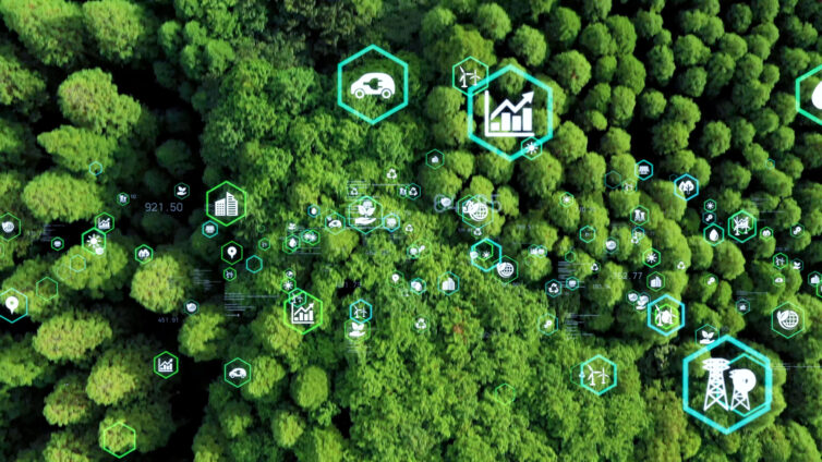 digital transformation of forest operations