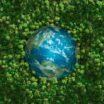 The earth embedded in green shrubbery