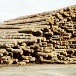 Lumber Processing 3