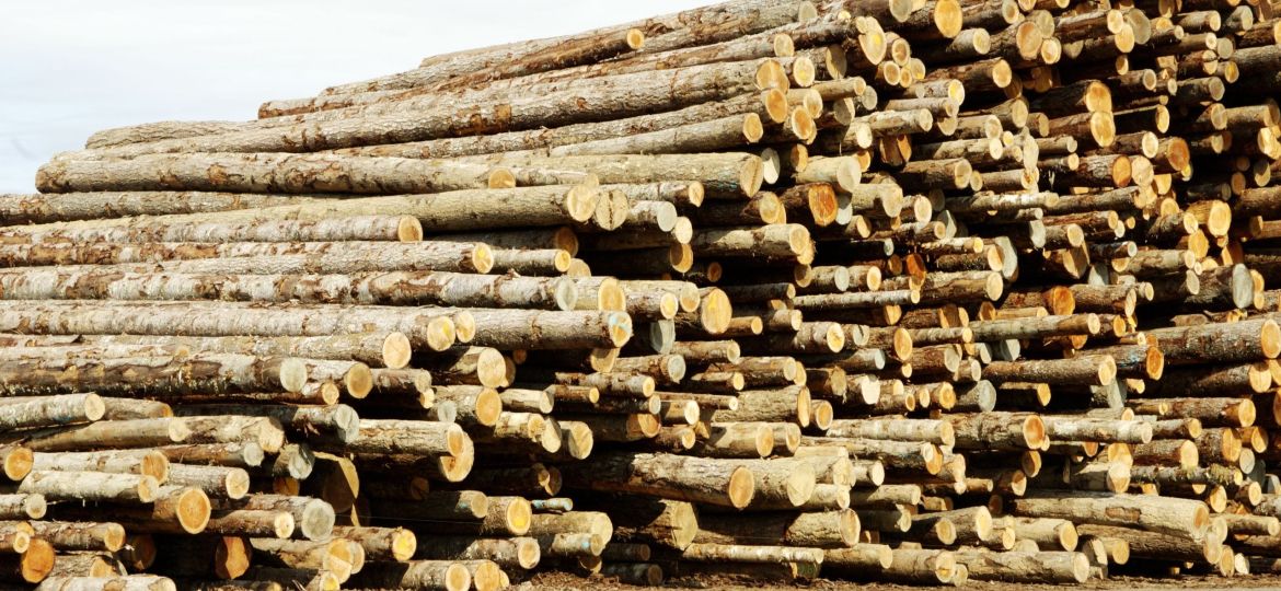 Lumber Processing 3
