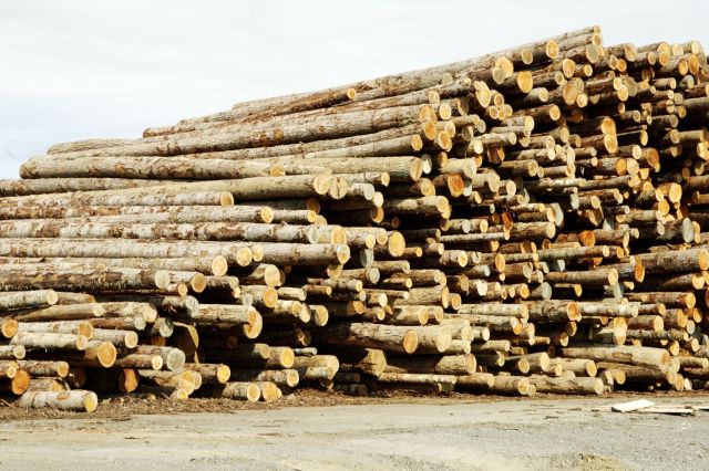 Lumber Processing 3