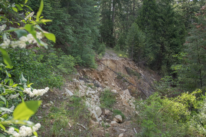 Californian Sierra Nevada: collapsed logging road