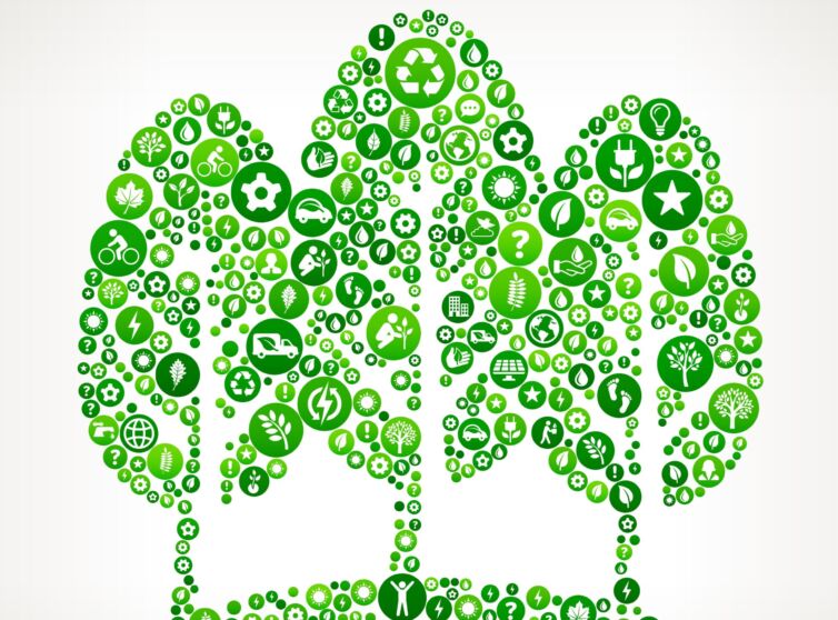 Illustration of trees and environmental symbols
