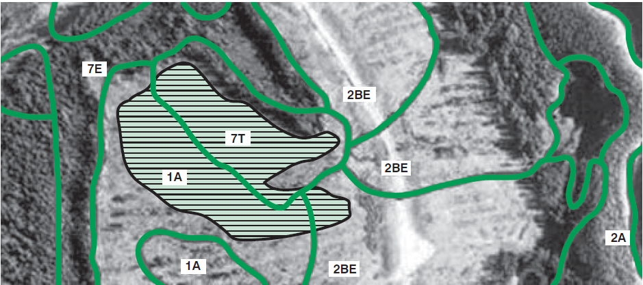 The crosshatched zone on the orthophoto is an area susceptible to rutting. A linear programming approach was used to schedule several such sites for winter harvest with a goal to minimize rutting