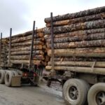 Améliorer l'impact environnemental du transport forestier à Terre-Neuve-et-Labrador