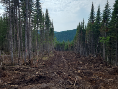 Pyrosilviculture 2 Pyrosilviculture 2