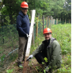 Wood preservation – Inspecting the performance of a wood post, Kincardine – OntarioFT