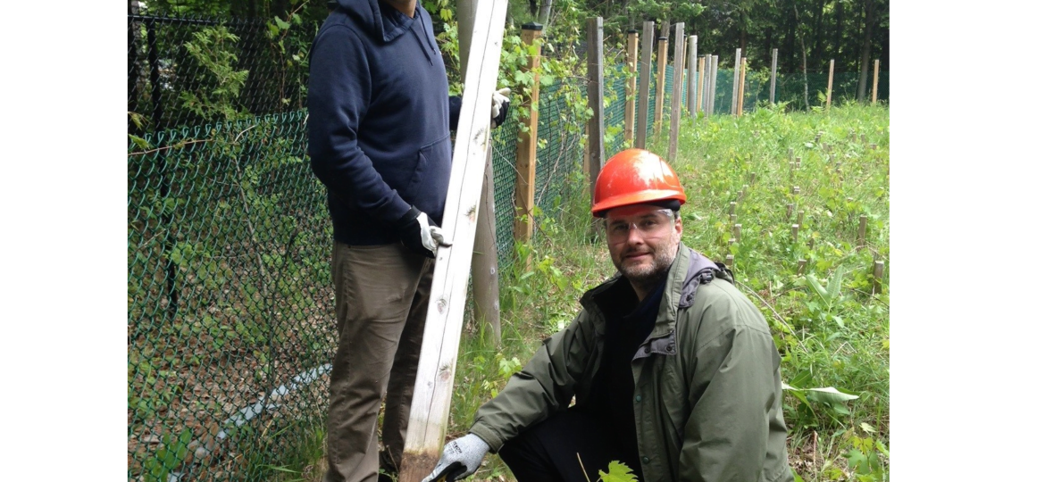 Wood preservation - Inspecting the performance of a wood post, Kincardine - OntarioFT