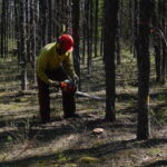 Nouveaux rapports sur la productivité de traitements manuels motorisés de réduction des combustibles forestiers