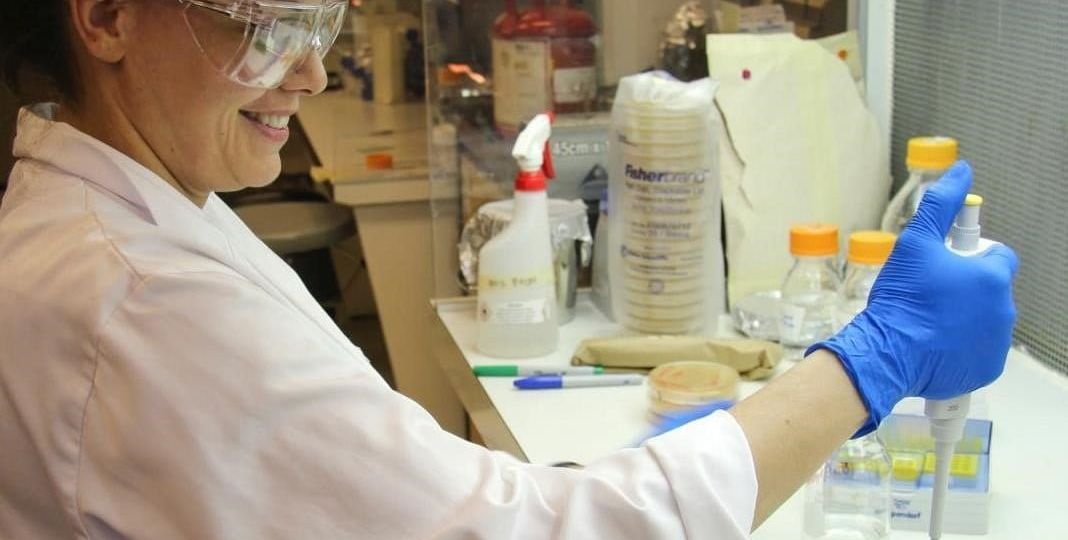 wood inhabiting organisms - resized