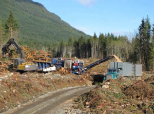 Forest harvesting of woody debris with machinery